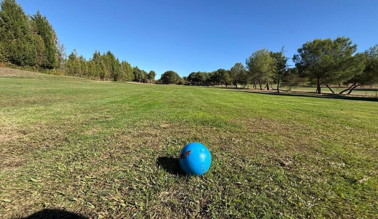 photo_2025-10-30 10.51.36